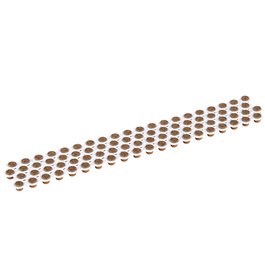Collated Cortex English Walnut™ - 80 Plug Pack Elements (no bit, no screws) — product cutout on transparent background