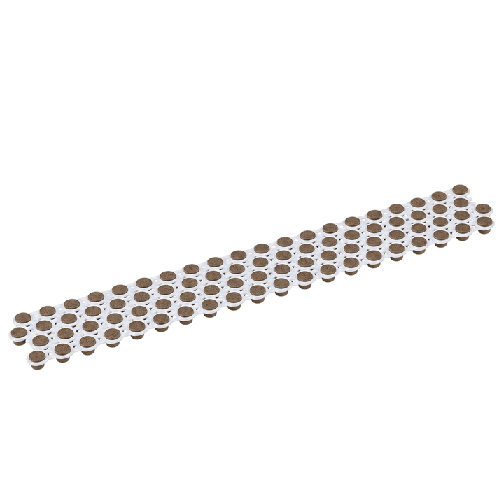 Collated Cortex Coastline® - 80 Plug Pack Elements (no bit, no screws)